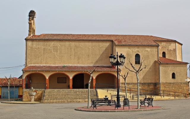 PAJARES DE LA LAGUNA