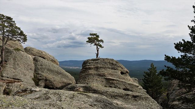 DURUELO DE LA SIERRA